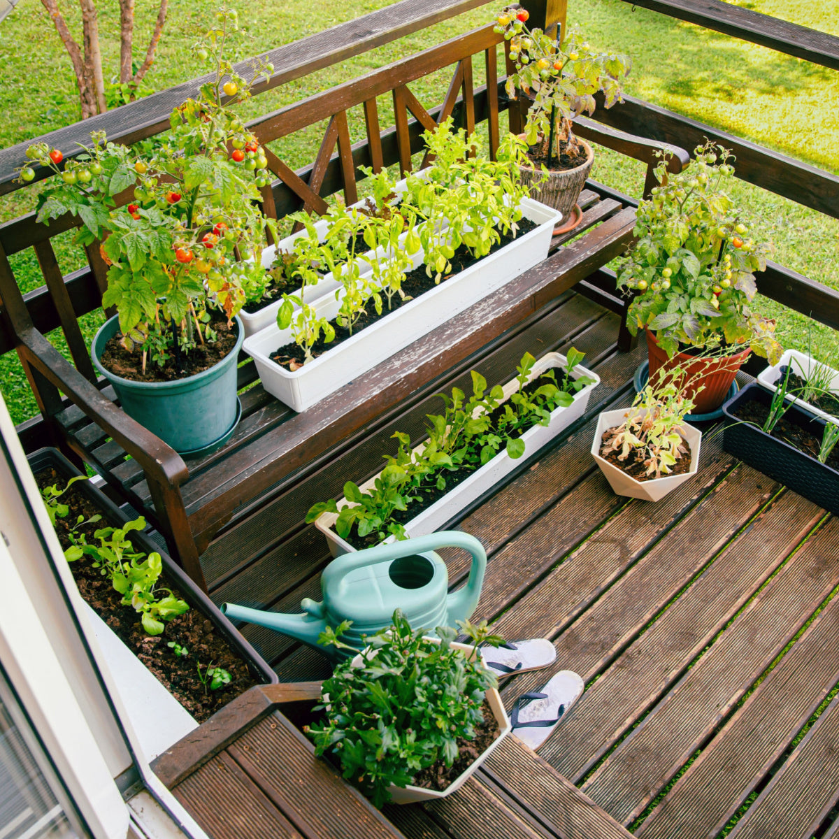 Seasonal planning and succession planting