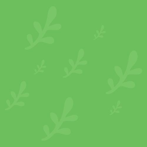 All Herbs