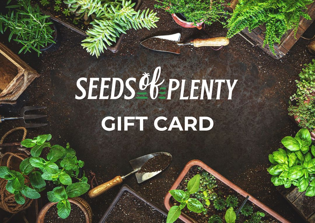 eGift Card - #
