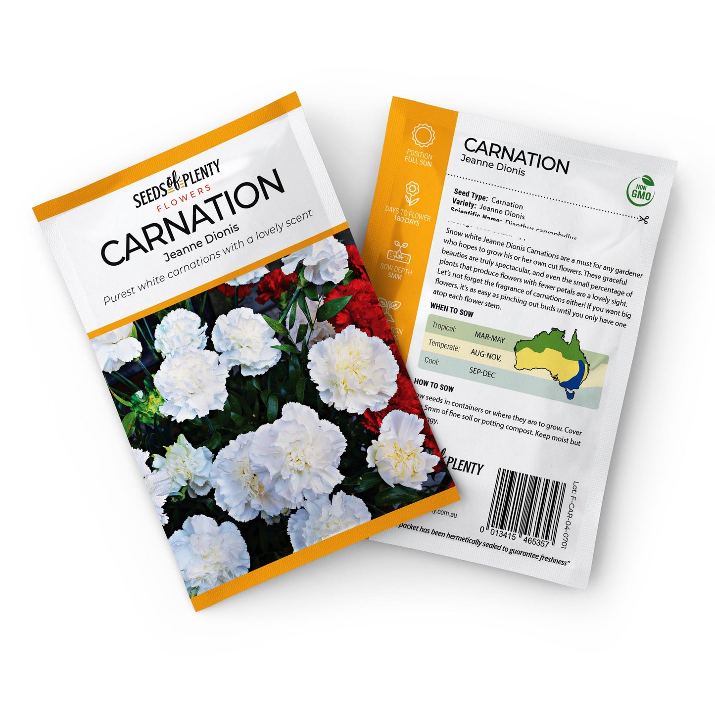 CARNATION - Jeanne Dionis