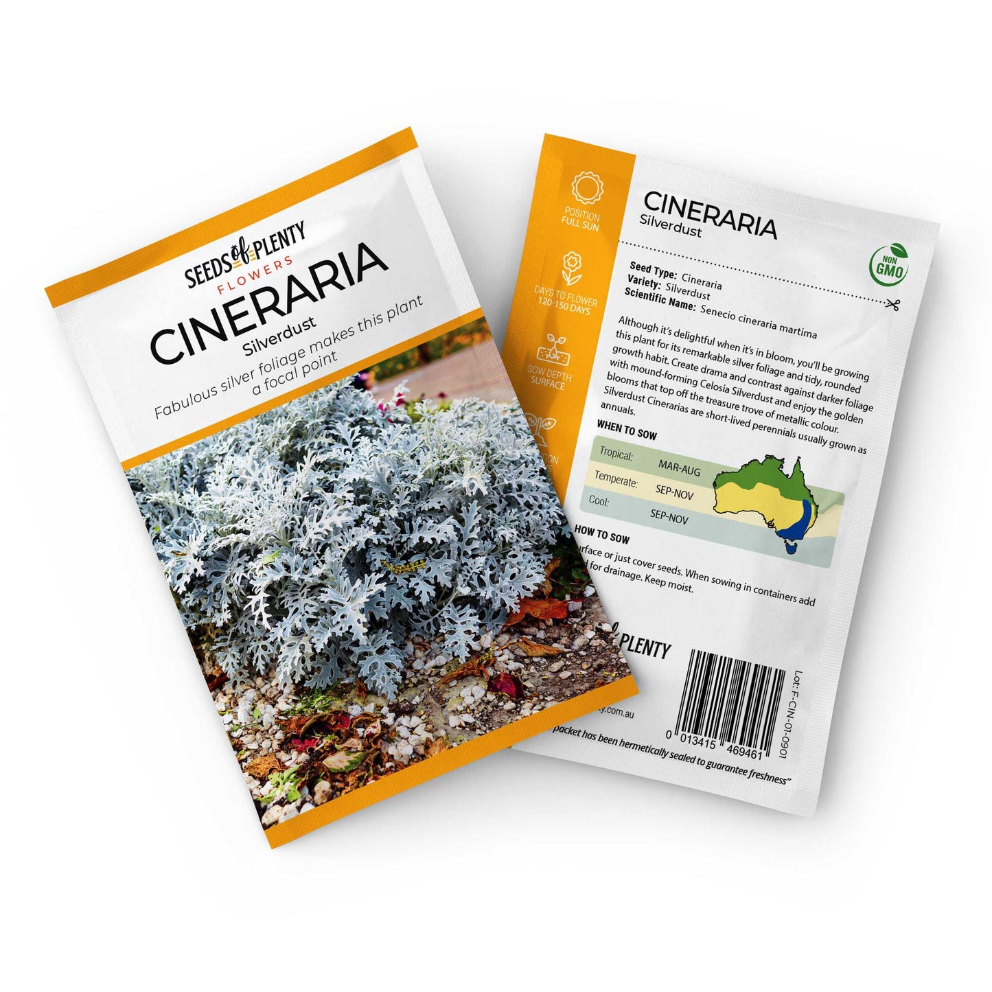 CINERARIA - Silverdust Seed Packet - Senecio cineraria martima