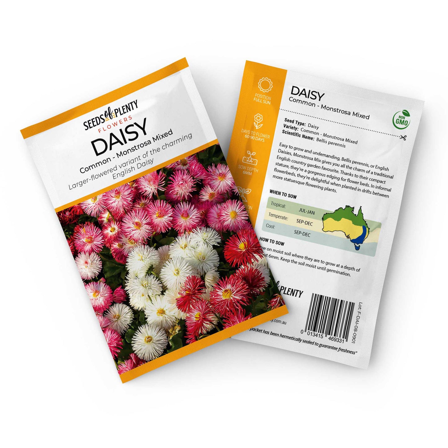 DAISY - Common - Monstrosa Mixed Seed Packet - Bellis perennis