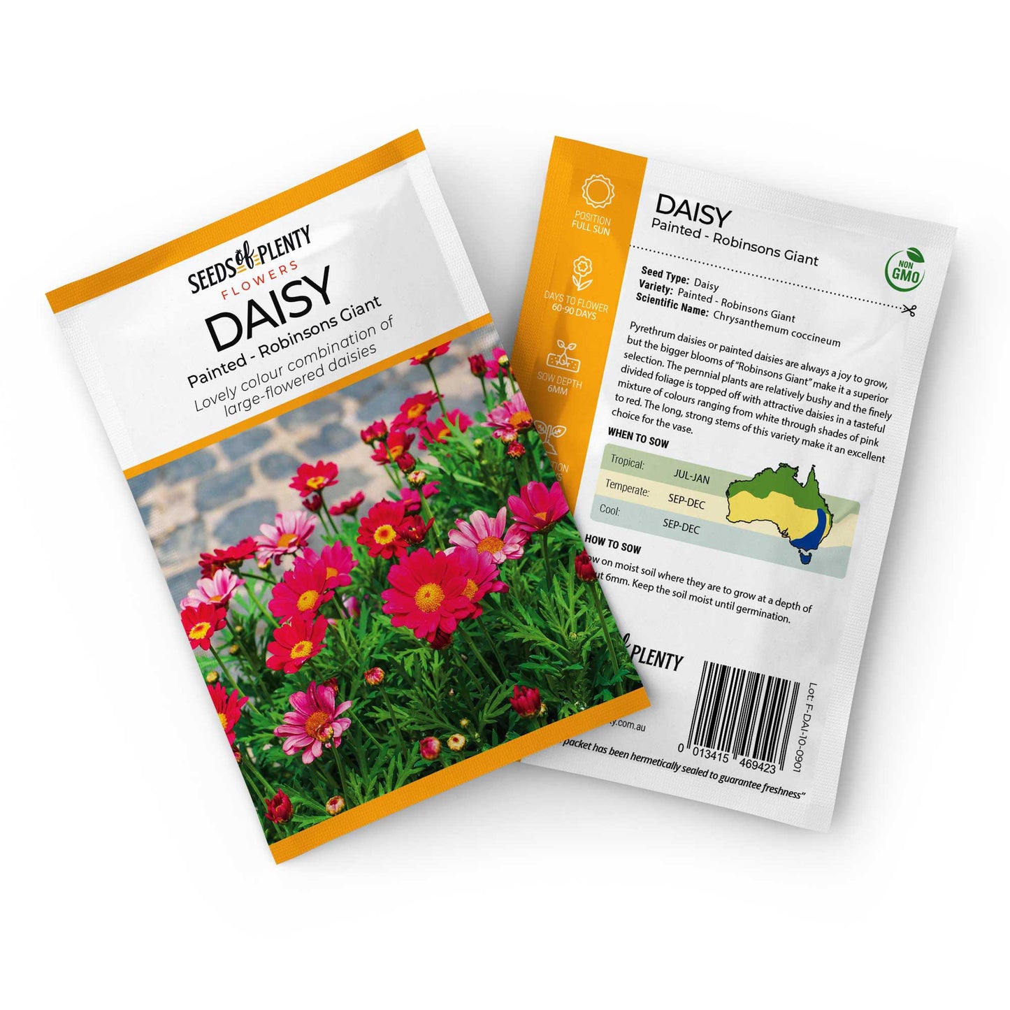 DAISY - Painted - Robinsons Giant Seed Packet - Chrysanthemum coccineum
