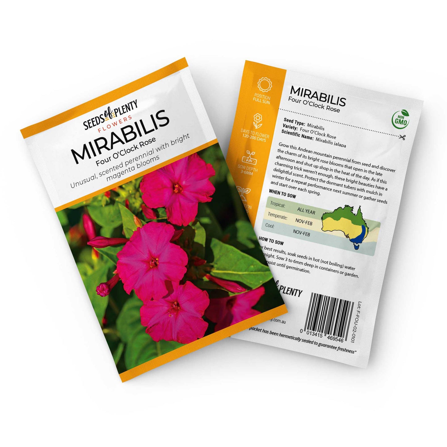 MIRABILIS - Four O'Clock Rose Seed Packet - Mirabilis jalapa
