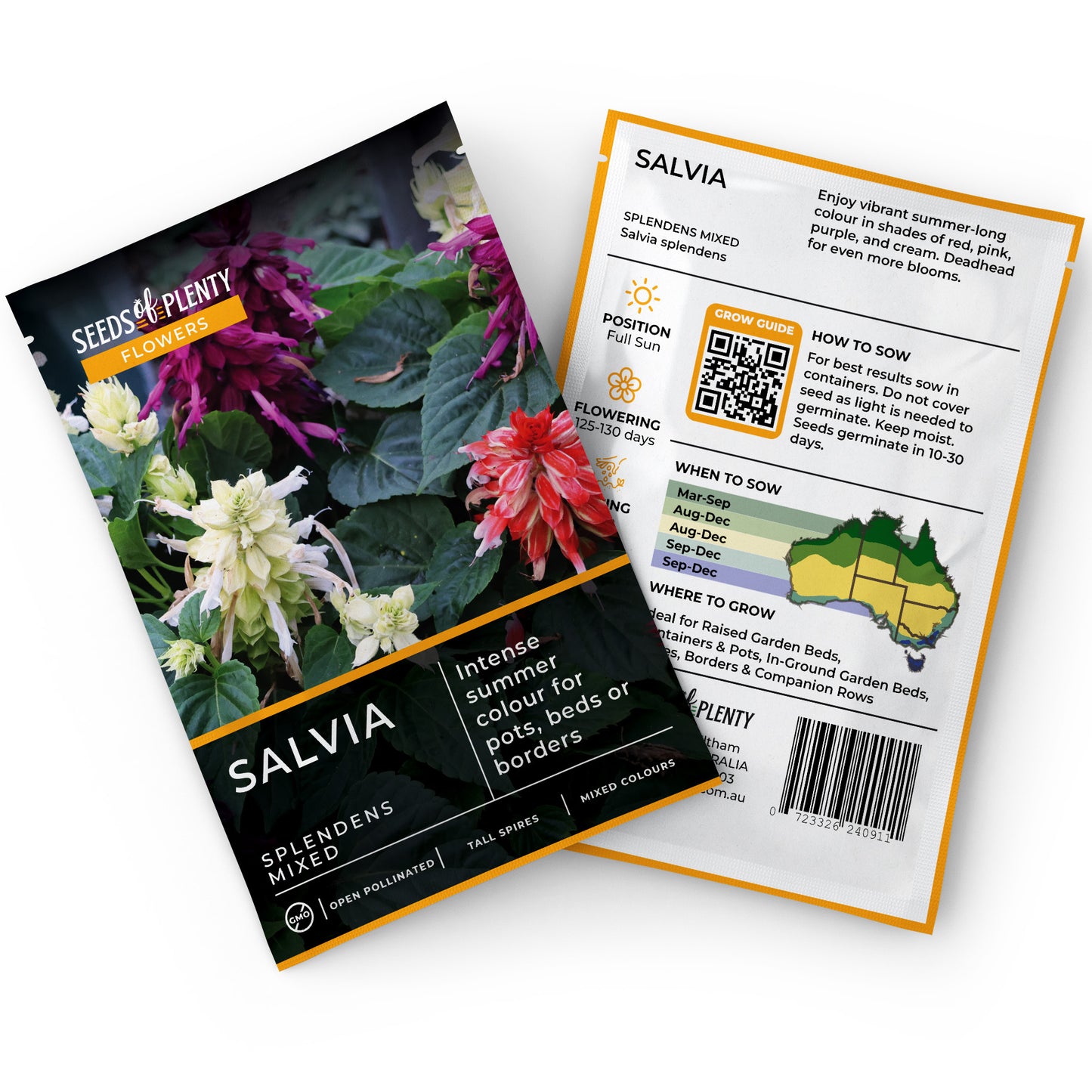 SALVIA - Splendens Mixed