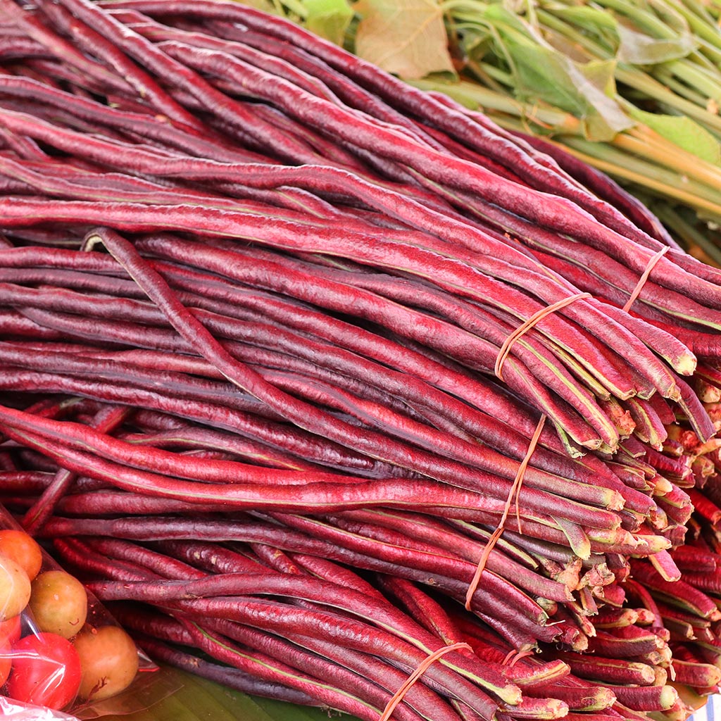 SNAKE BEAN - Red Noodle