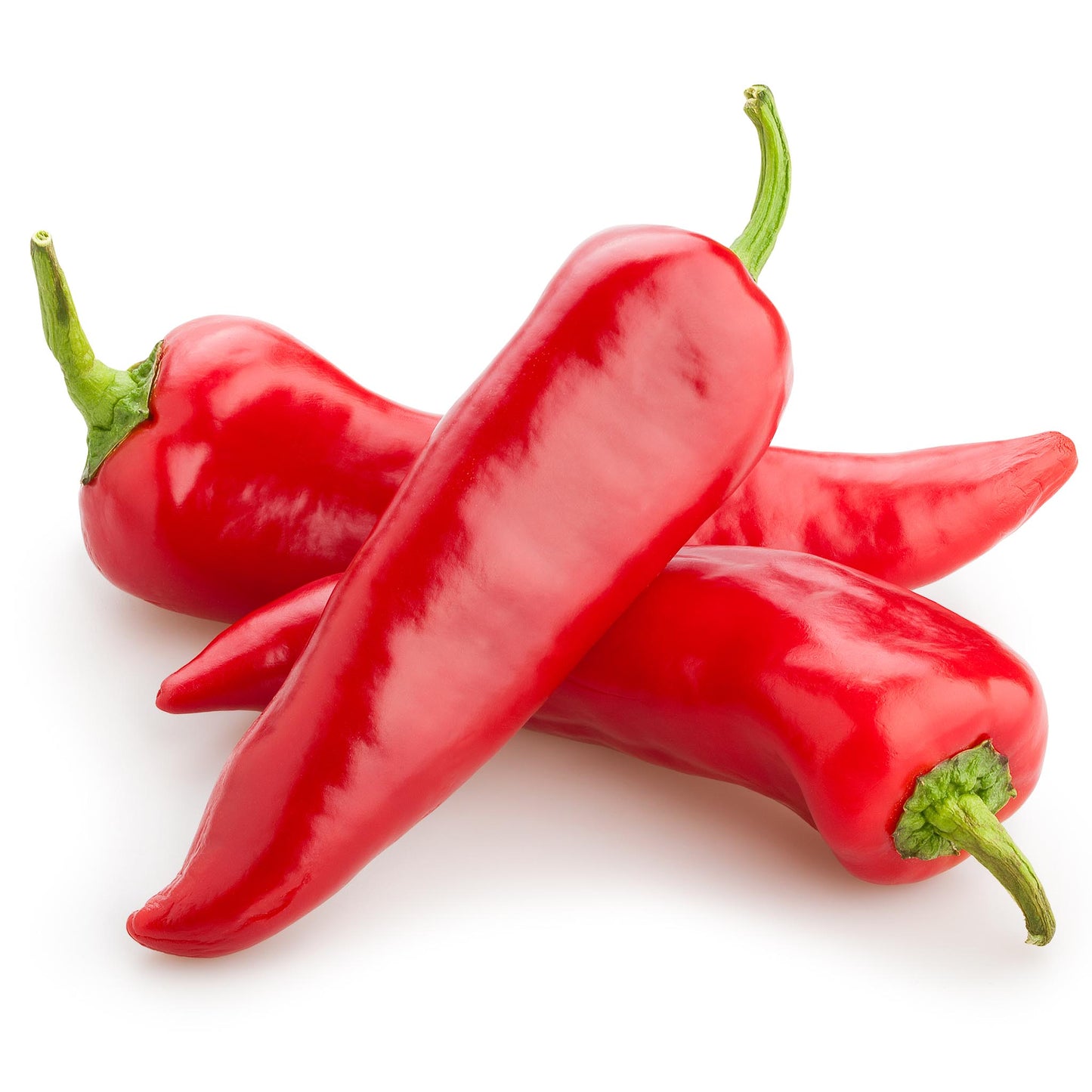 CAPSICUM - Macedonian Red - Capsicum annuum