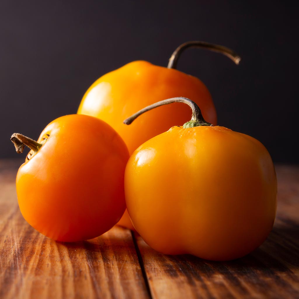 CHILLI PEPPER - Roccoto Orange