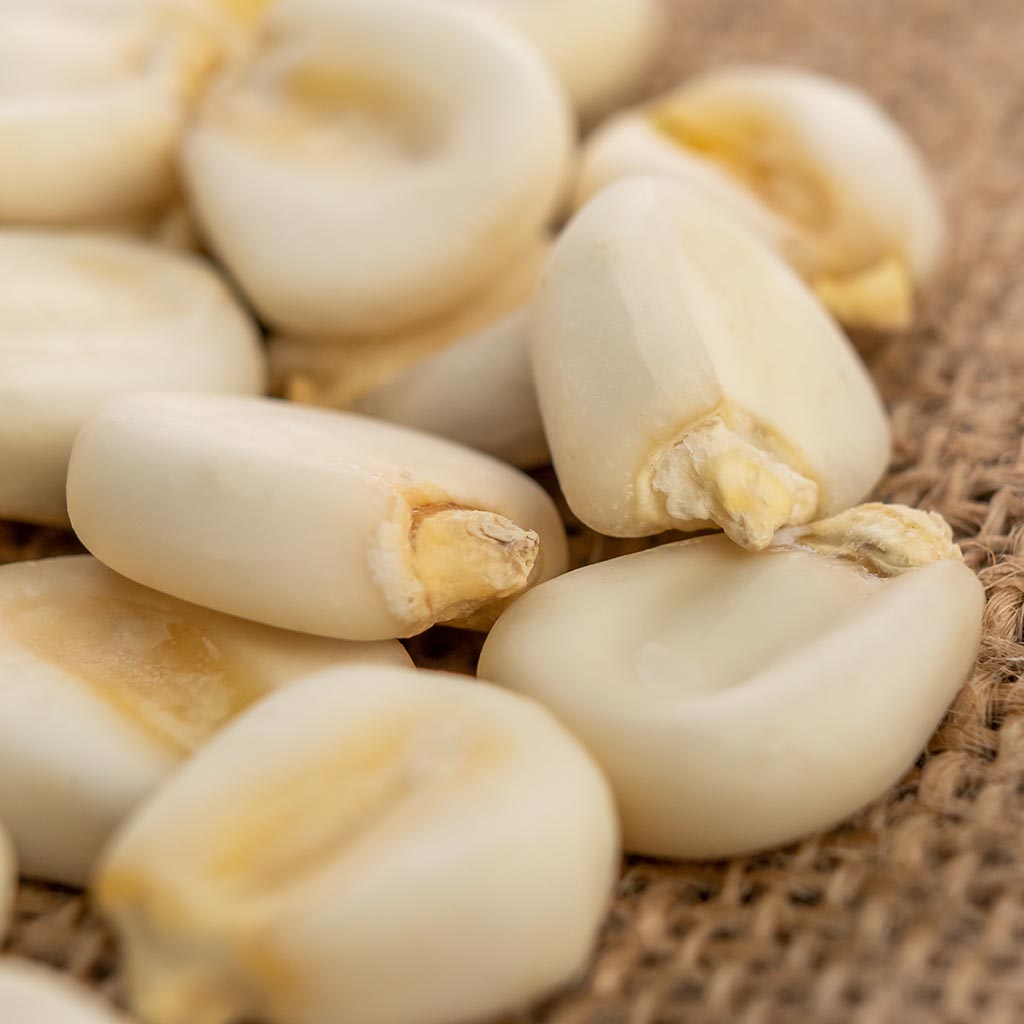 CORN/MAIZE - White