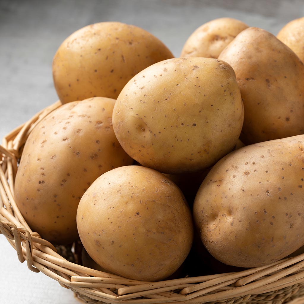 Potato - Nicola (1kg Certified Seed Potato)