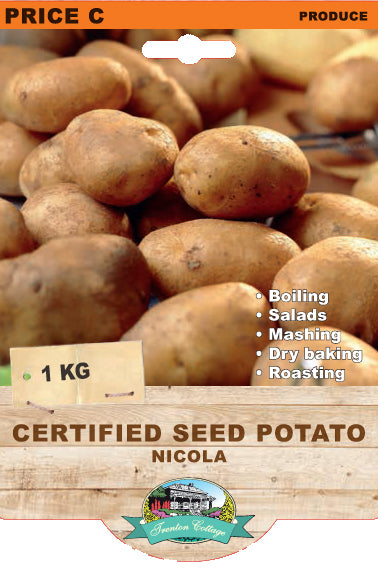 Potato - Nicola (1kg Certified Seed Potato)