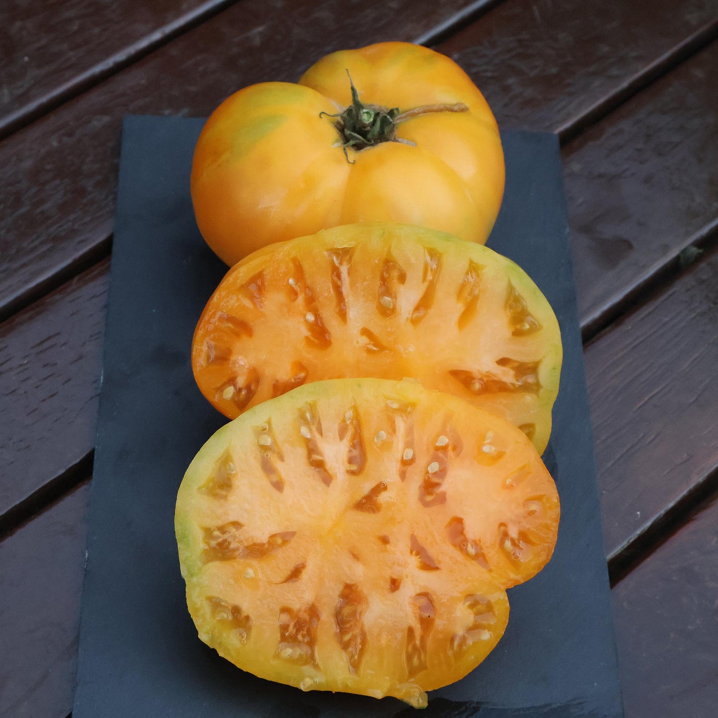 DWARF TOMATO - Oriole - Lycopersicon esculentum