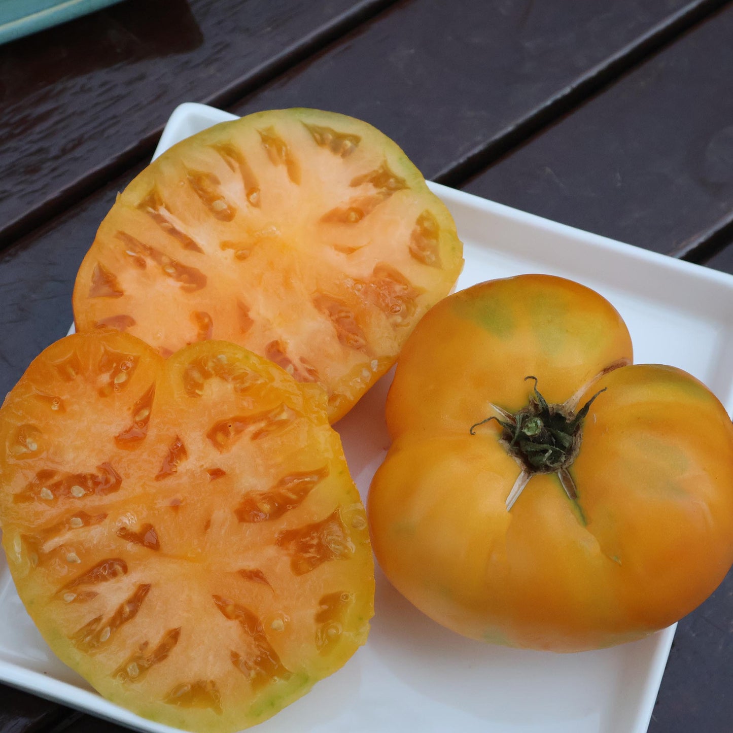 DWARF TOMATO - Oriole - Lycopersicon esculentum