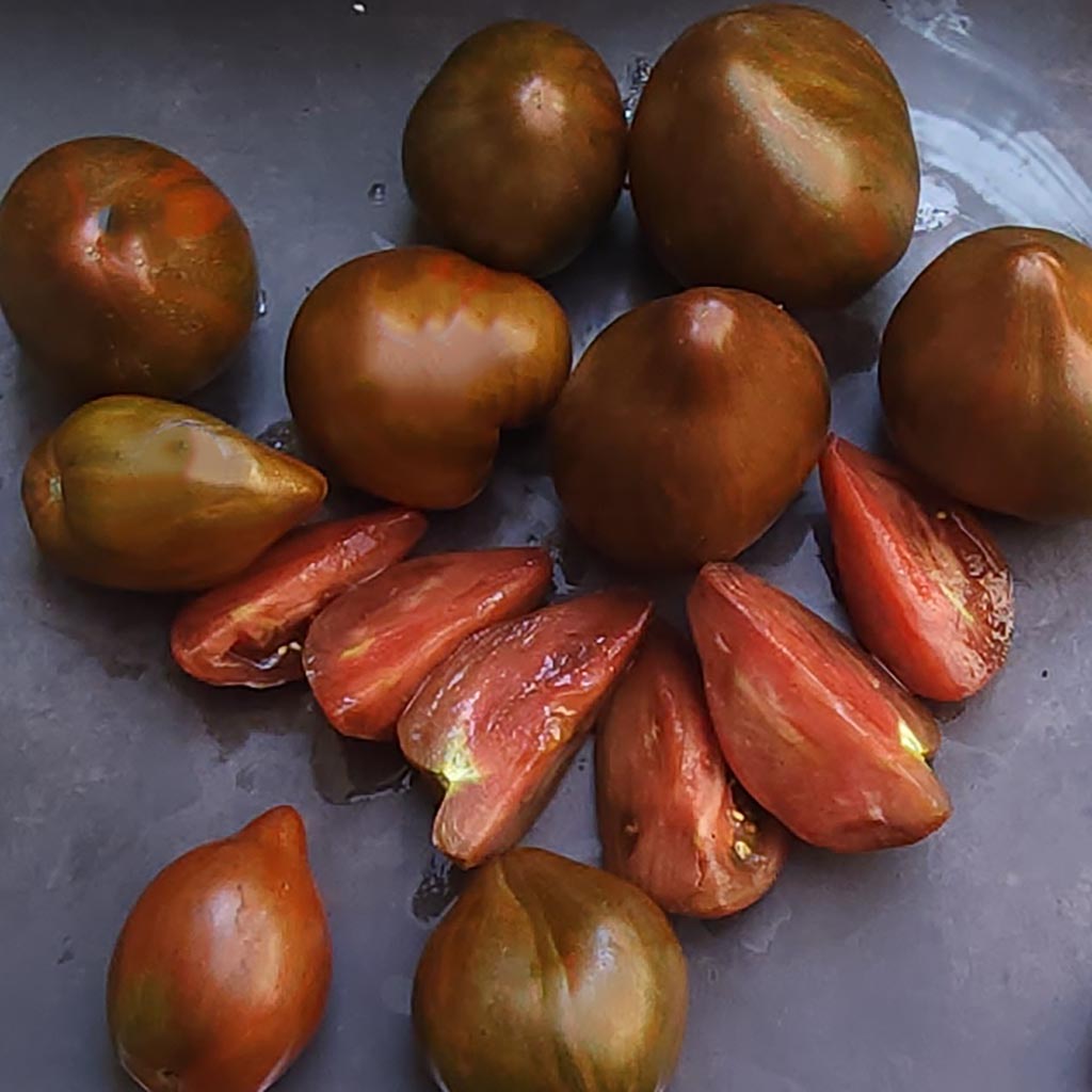 TOMATO - Marsha's Starfighter Heart