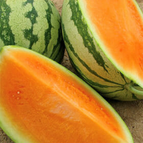 Orangeglo Watermelon Seeds