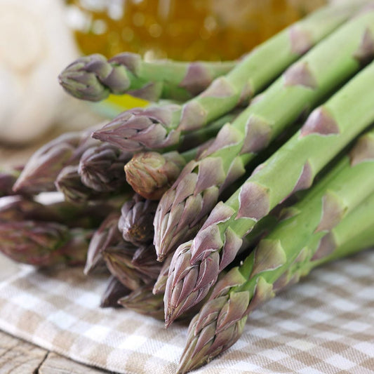 ASPARAGUS - Argenteuil  - Asparagus officinalis