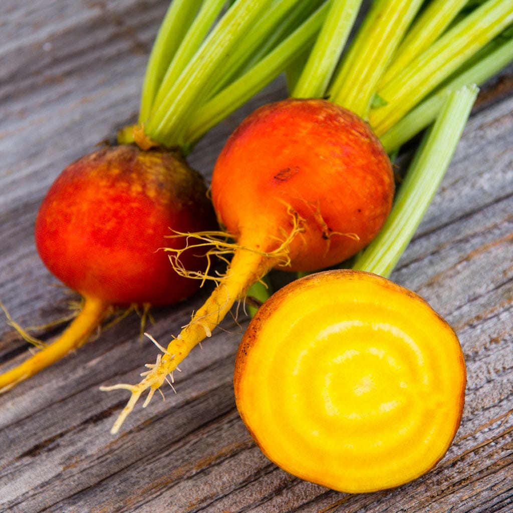 BEETROOT - Burpee's Golden - Beta vulgaris