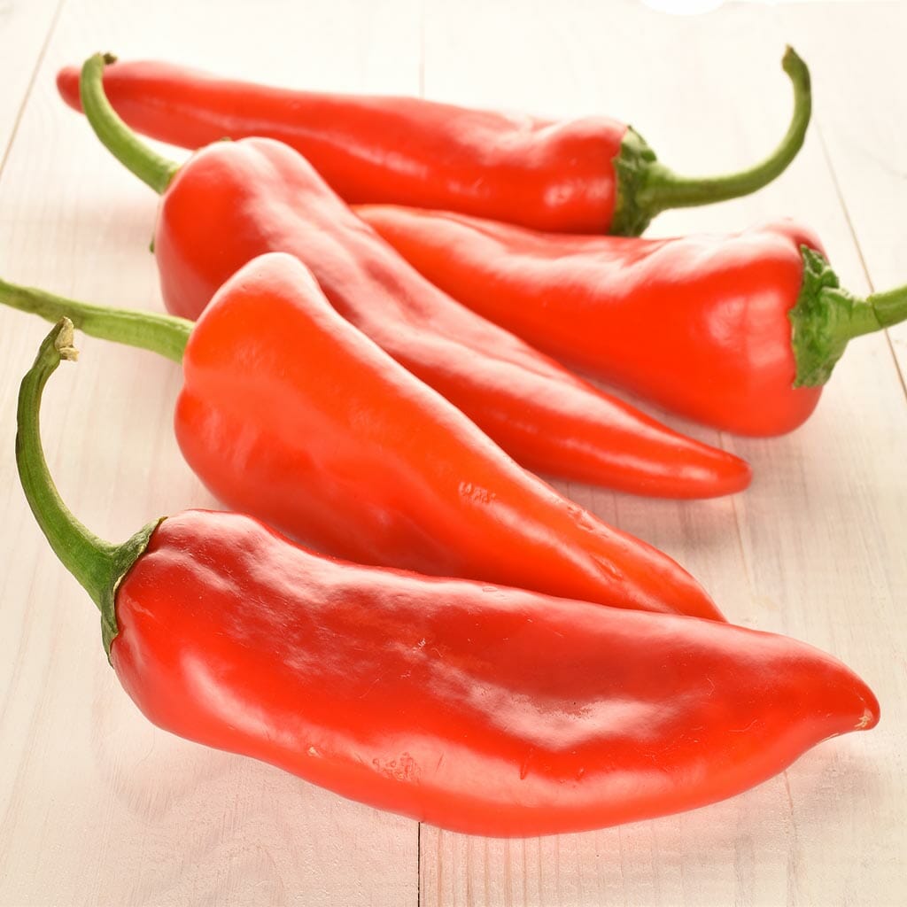 CAPSICUM - Como di toro rosso - Capsicum annuum