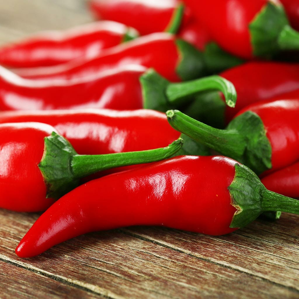 CHILLI PEPPER - Cayenne Red Hot - Capsicum annuum