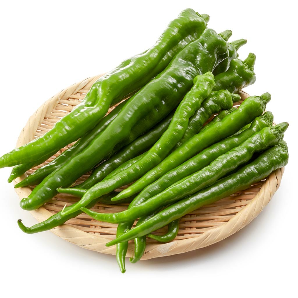 CHILLI PEPPER - Fushimi  - Capsicum annuum