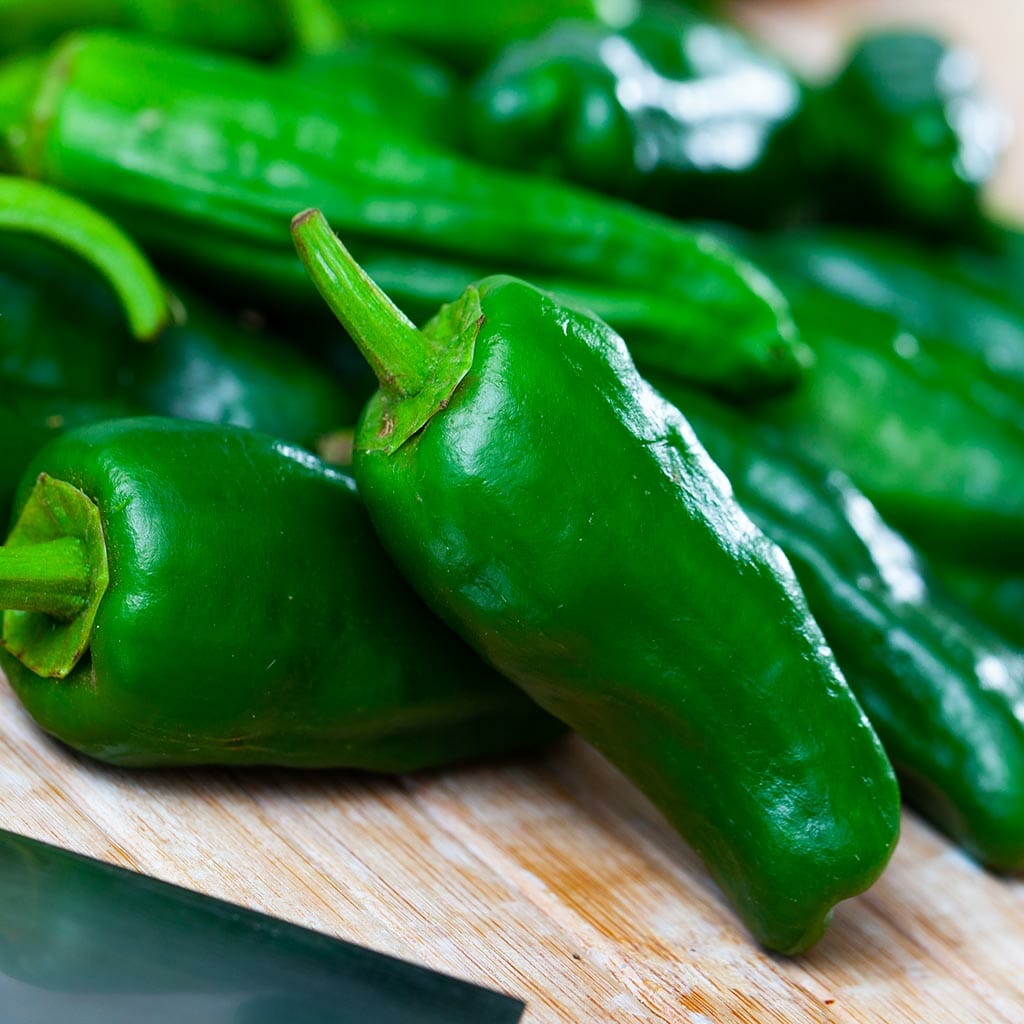 CHILLI PEPPER - Padron - Capsicum annuum