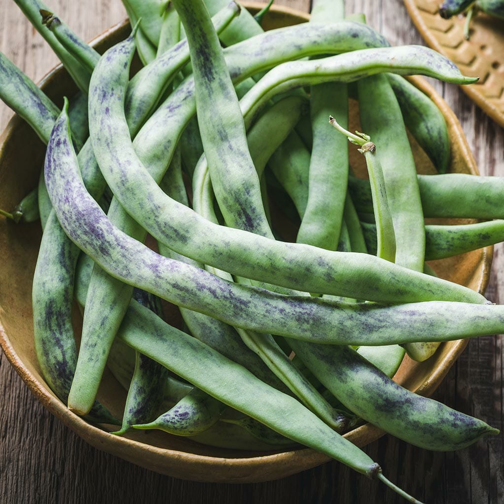 CLIMBING BEAN - Rattlesnake  - Phaseolus vulgaris