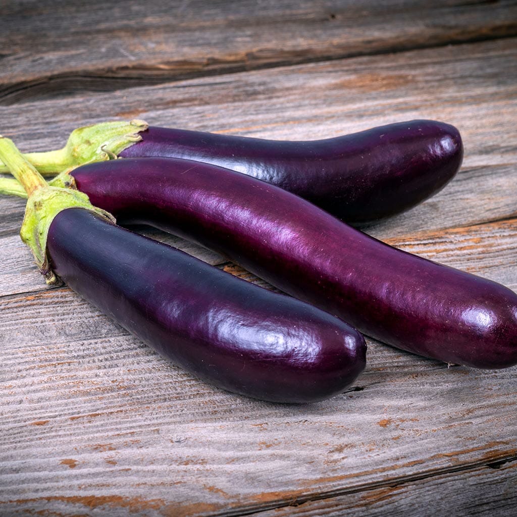 EGGPLANT - Slim Jim  - Solanum melongena
