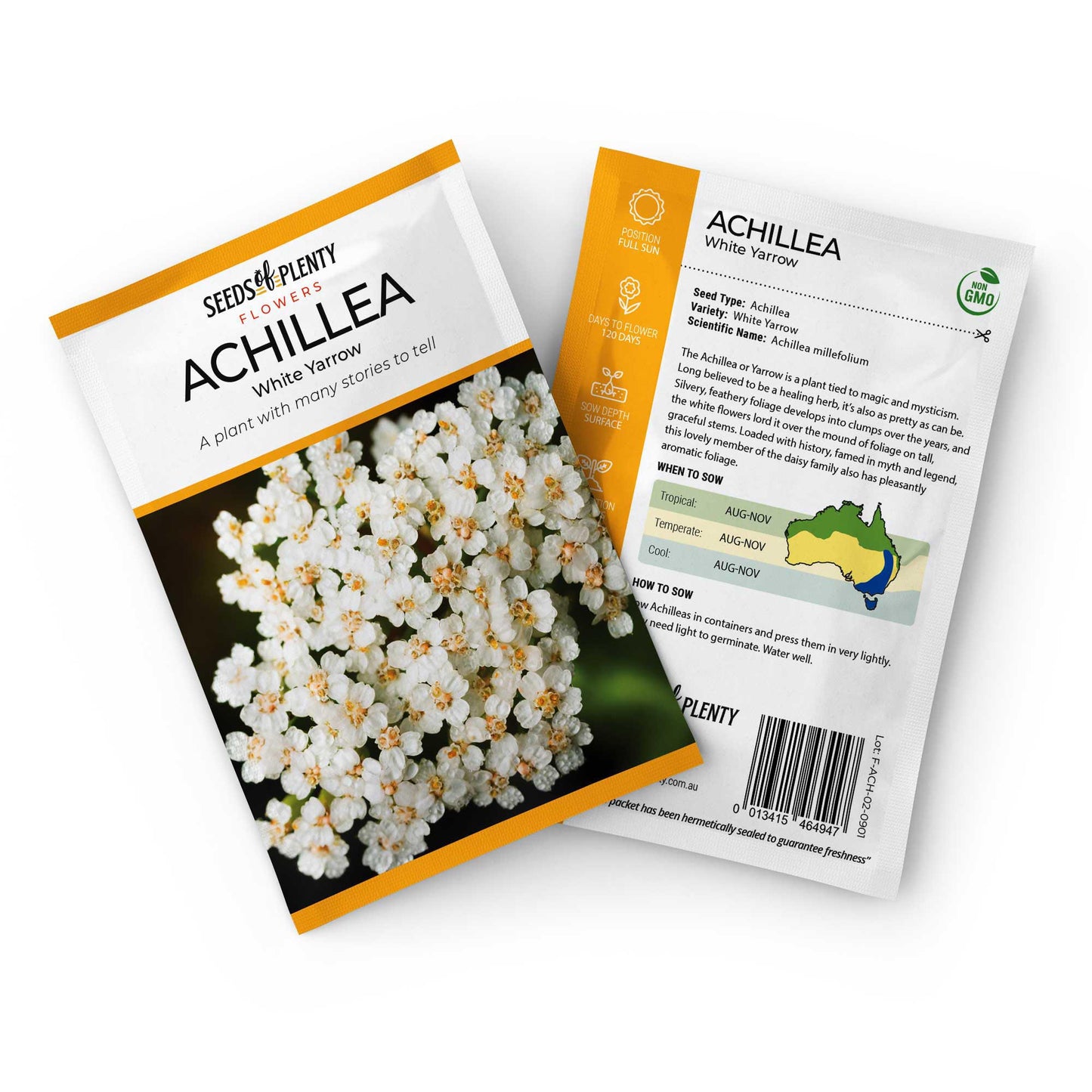 ACHILLEA - White Yarrow Seed Packet - Achillea millefolium