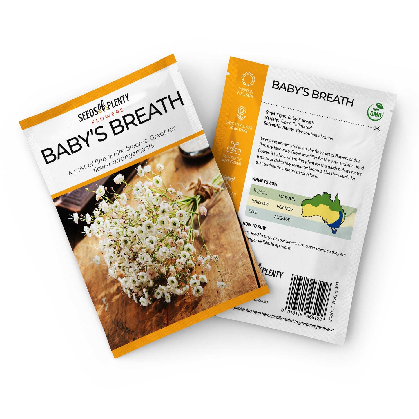 BABY'S BREATH - Seed Packet - Gypsophila elegans