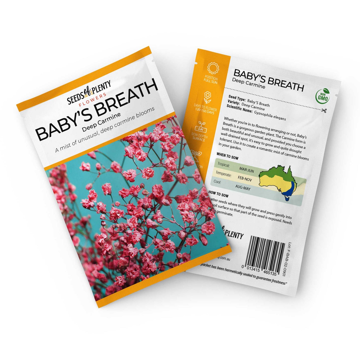 BABY'S BREATH - Deep Carmine Seed Packet - Gypsophila elegans