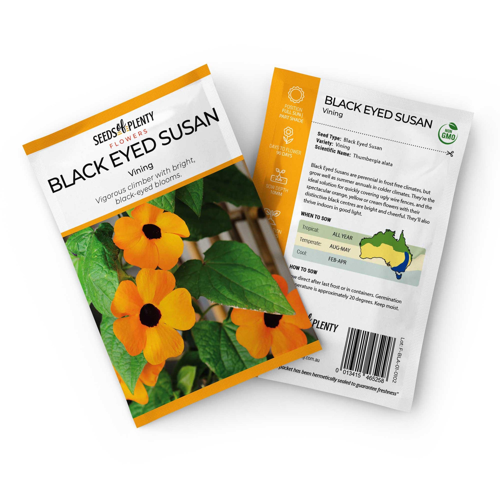 BLACK EYED SUSAN - Vining Seed Packet - Thumbergia alata