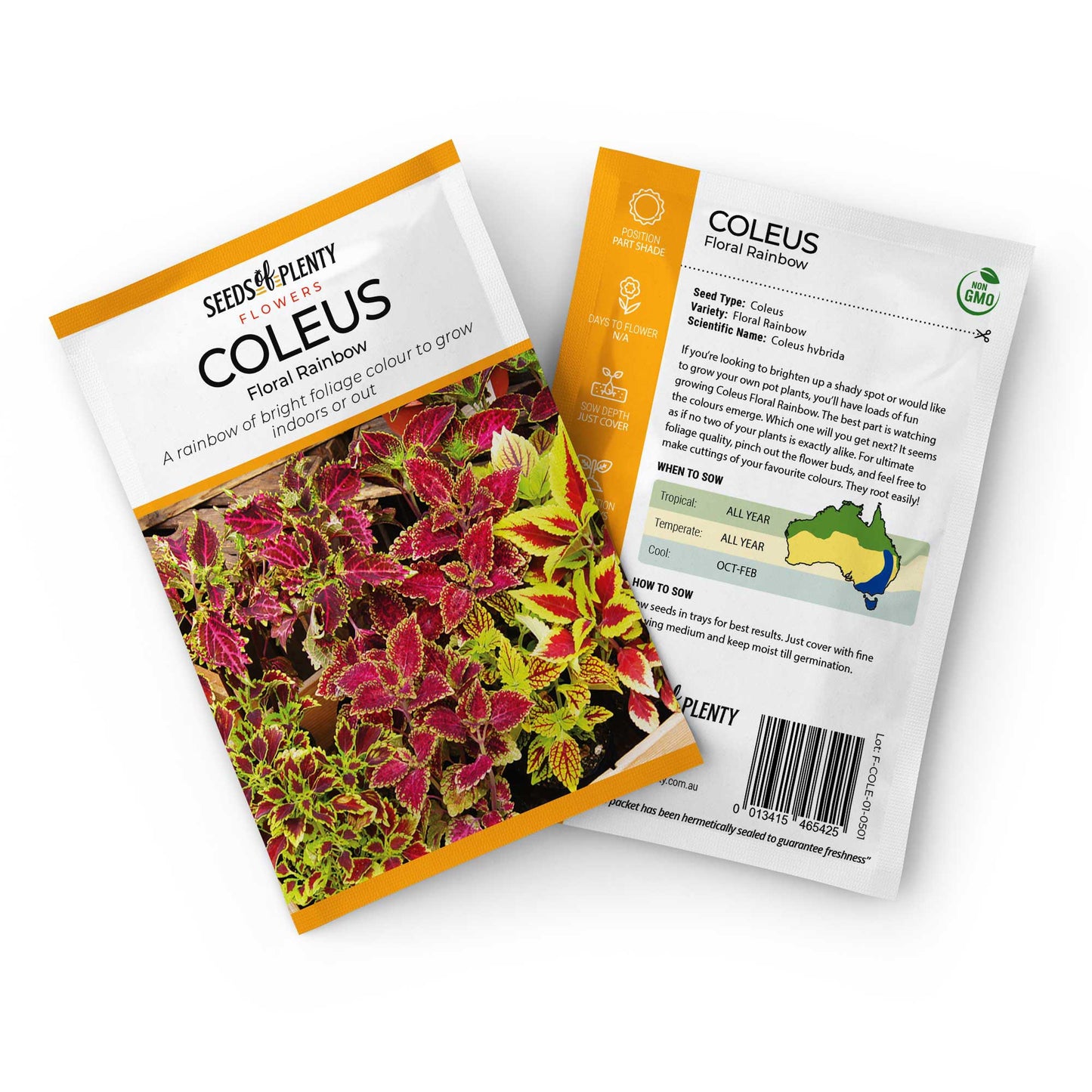 COLEUS - Floral Rainbow Seed Packet - Coleus hybrida