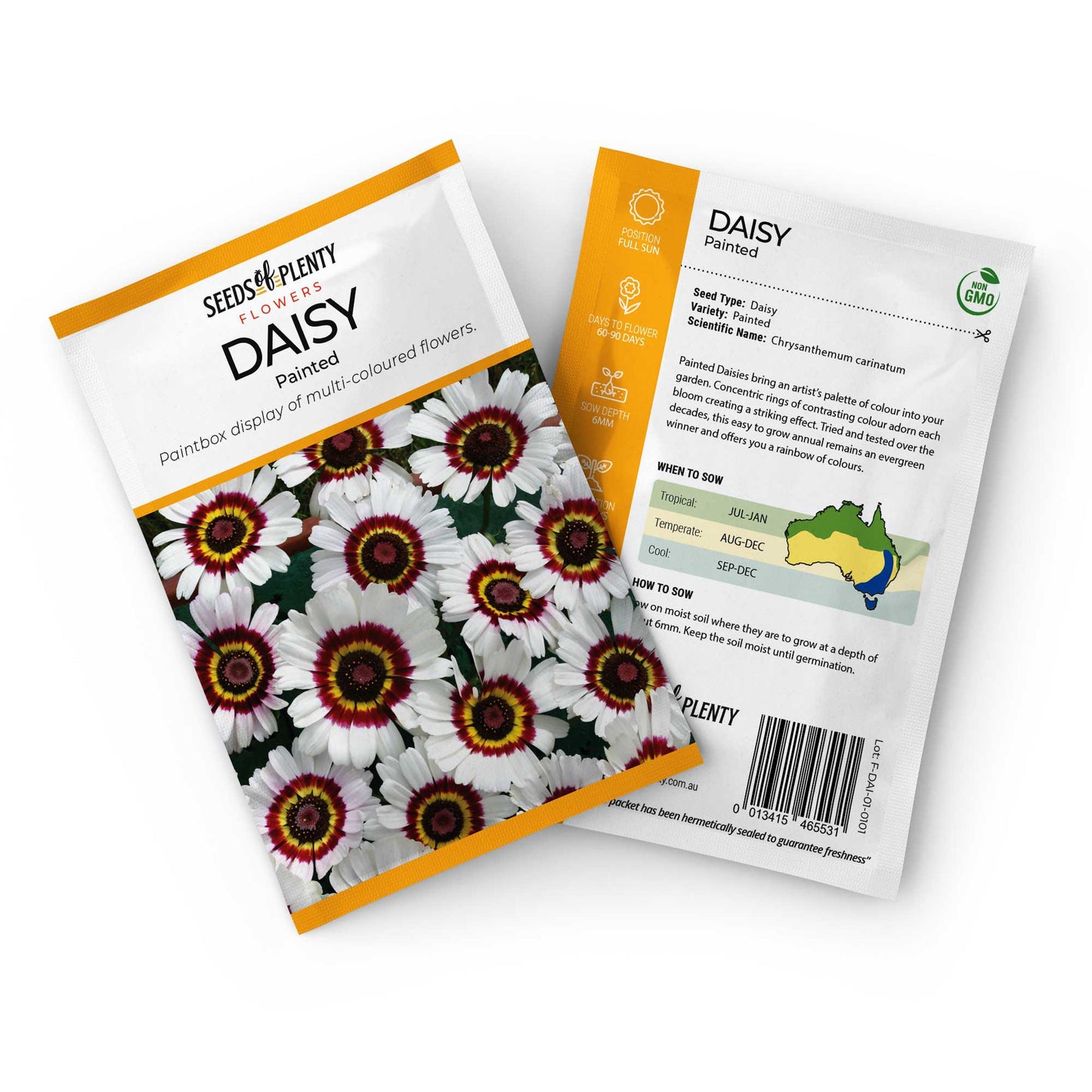 DAISY - Painted Seed Packet - Chrysanthemum carinatum
