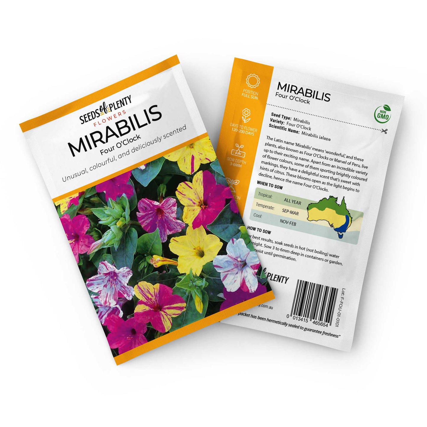 MIRABILIS - Four O'Clock Seed Packet - Mirabilis jalapa