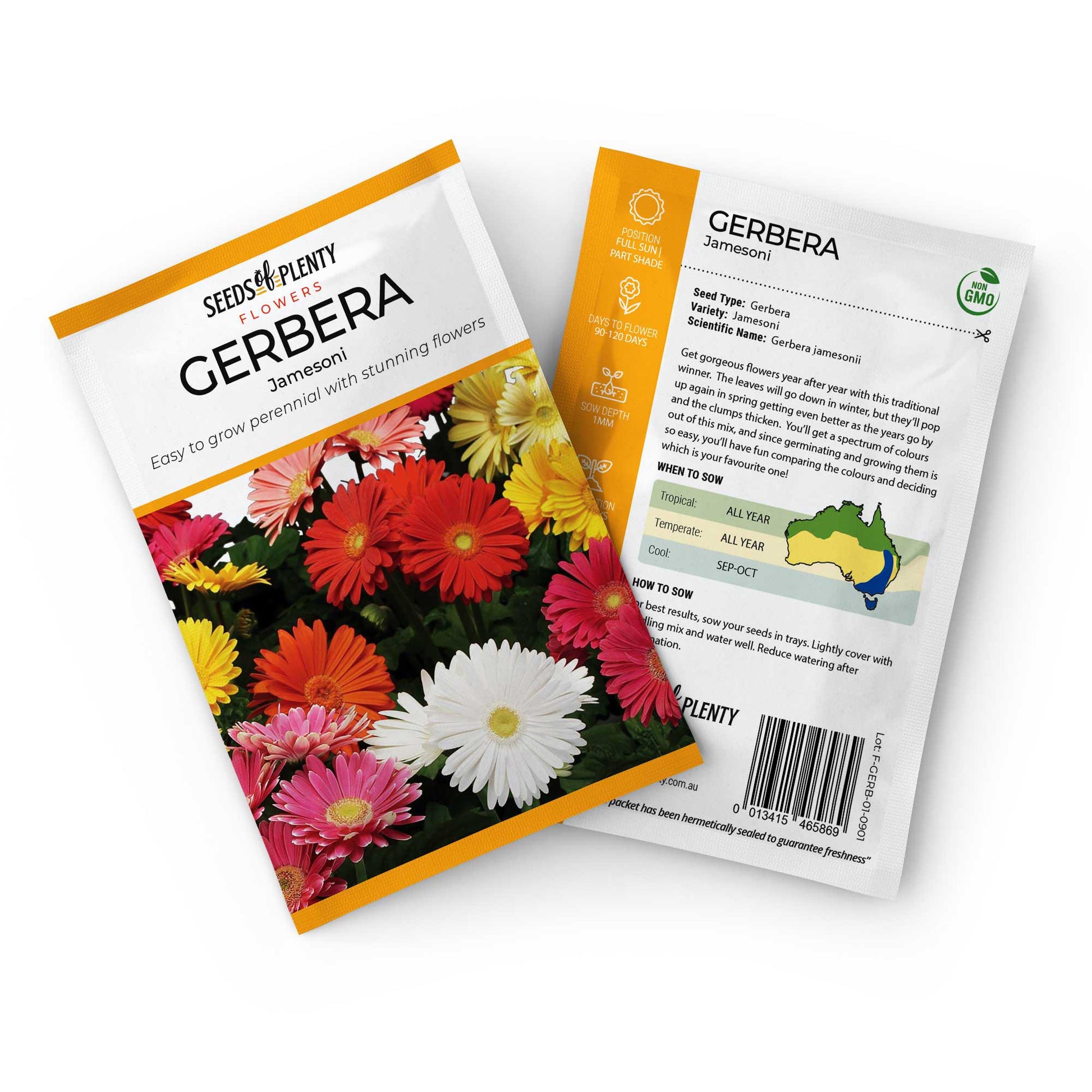 GERBERA - Jamesoni Seed Packet - Gerbera jamesoni