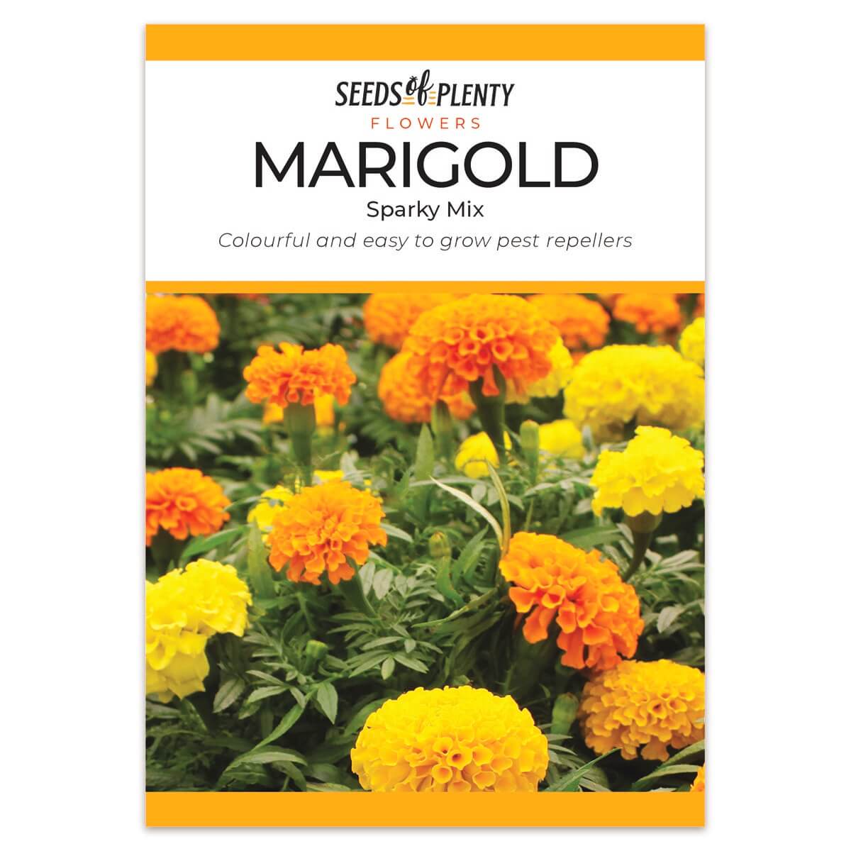 MARIGOLD   - Sparky Mix  - Tagetes patula