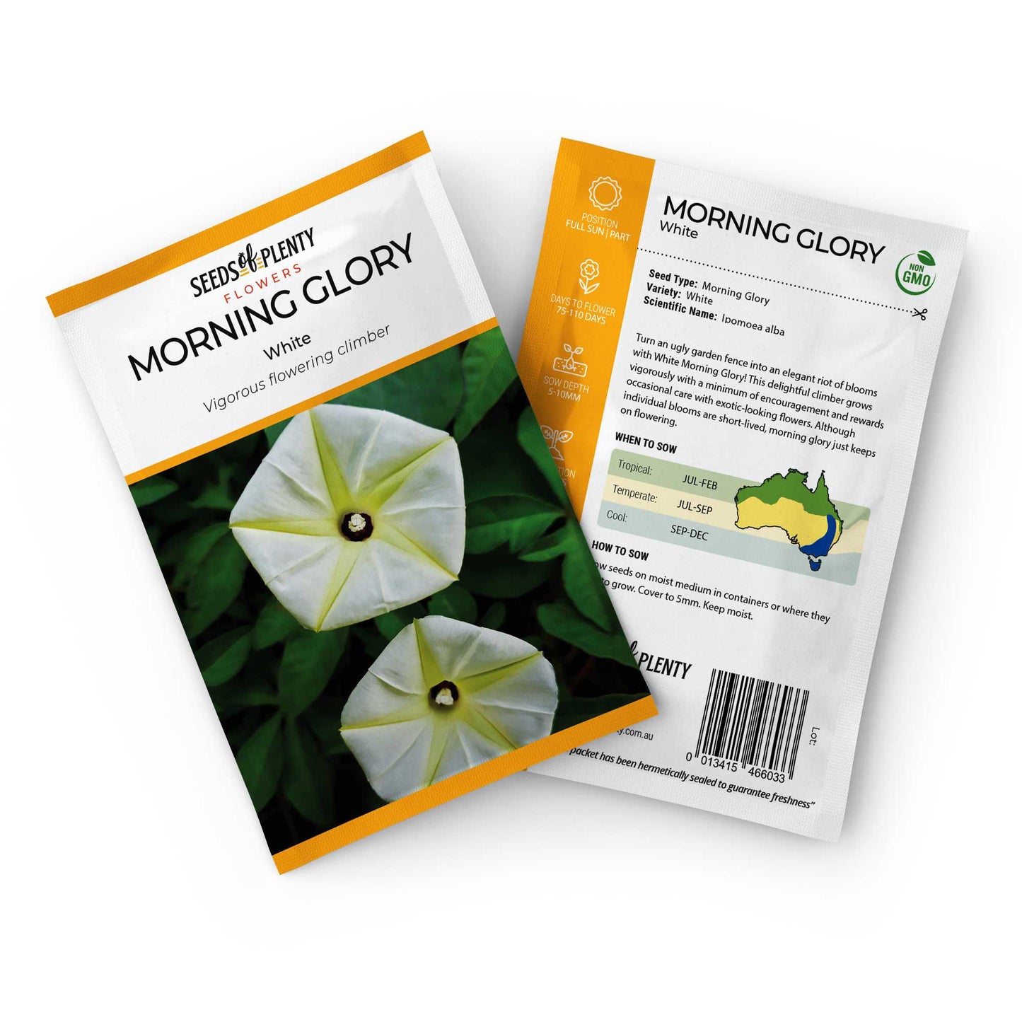 MORNING GLORY - White Seed Packet - Ipomoea alba