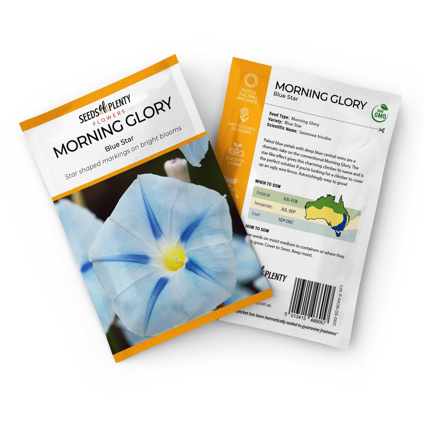 MORNING GLORY - Blue Star Seed Packet - Ipomoea tricolor