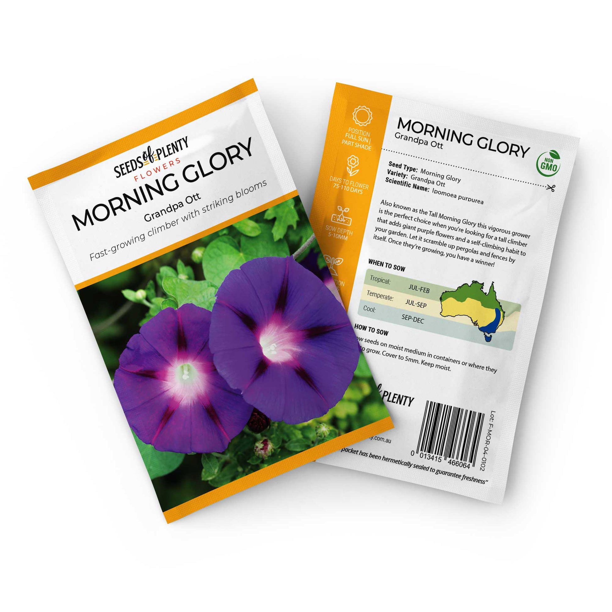 MORNING GLORY - Grandpa Ott Seed Packet - Ipomoea purpurea