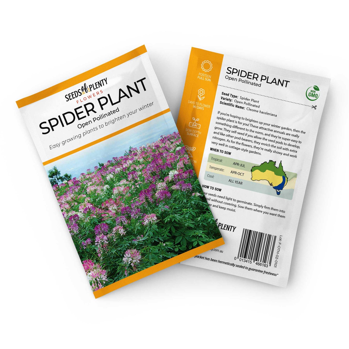 SPIDER PLANT - Seed Packet - Cleome hassleriana
