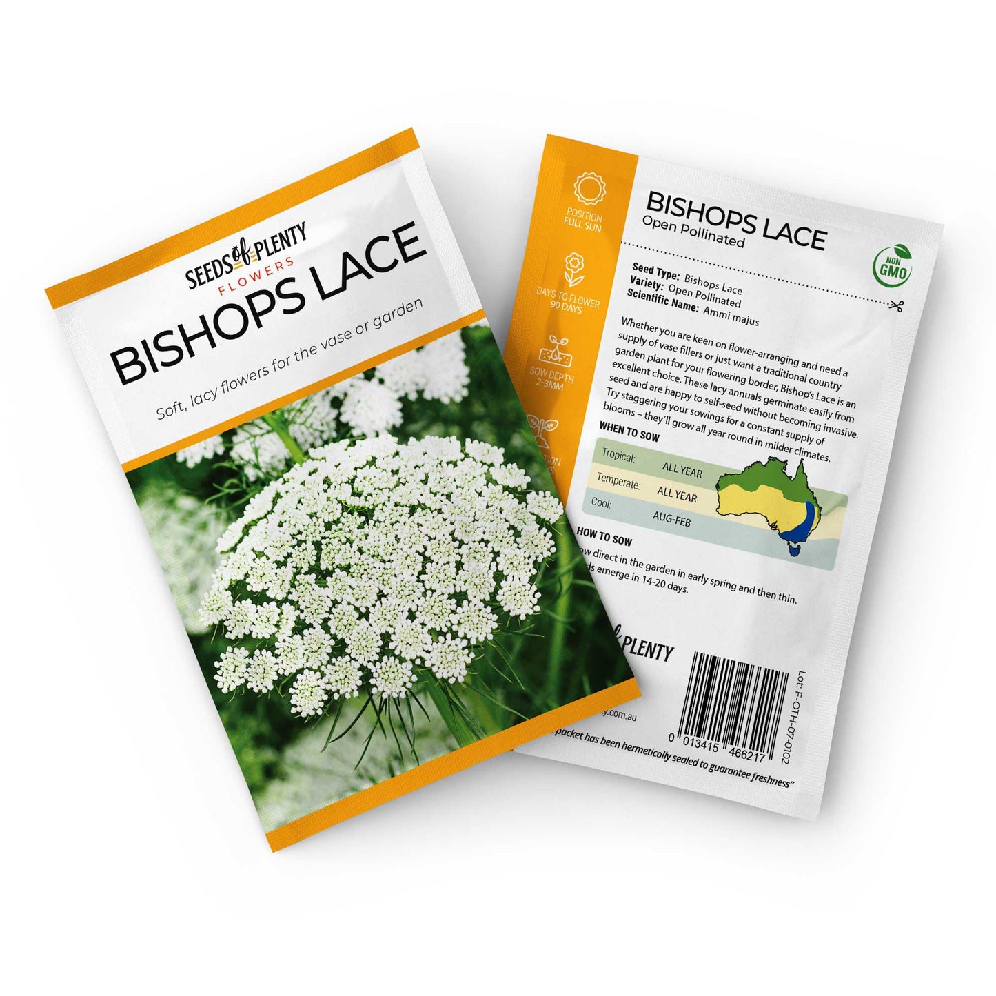 BISHOPS LACE - Seed Packet - Ammi majus