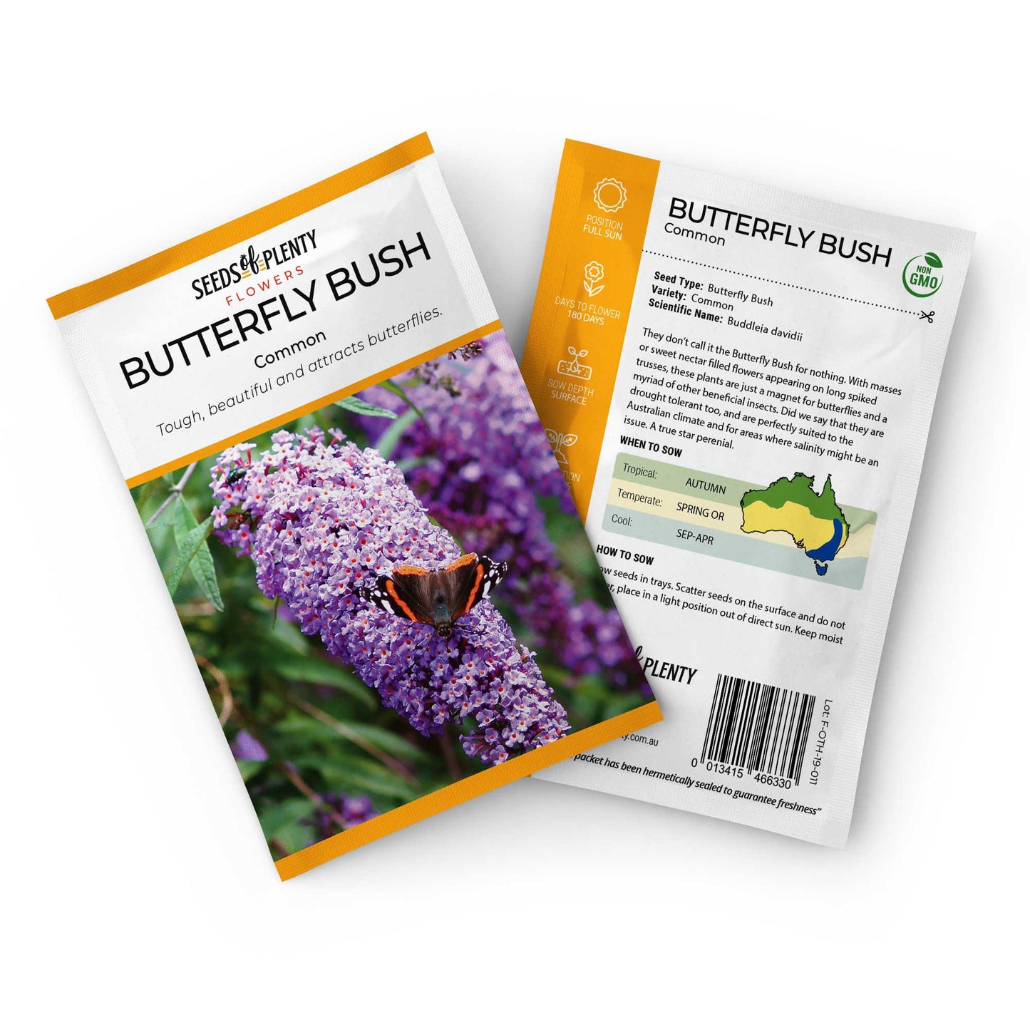 BUTTERFLY BUSH - Seed Packet - Buddleja davidii