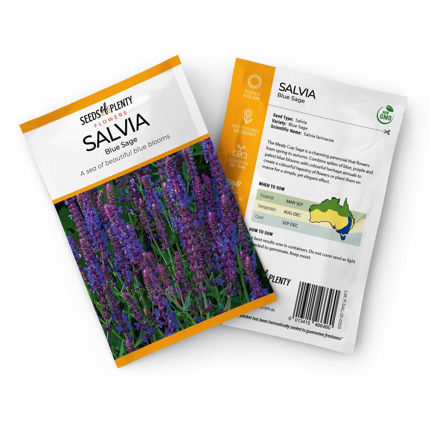 SALVIA - Blue Sage Seed Packet - Salvia farinacea