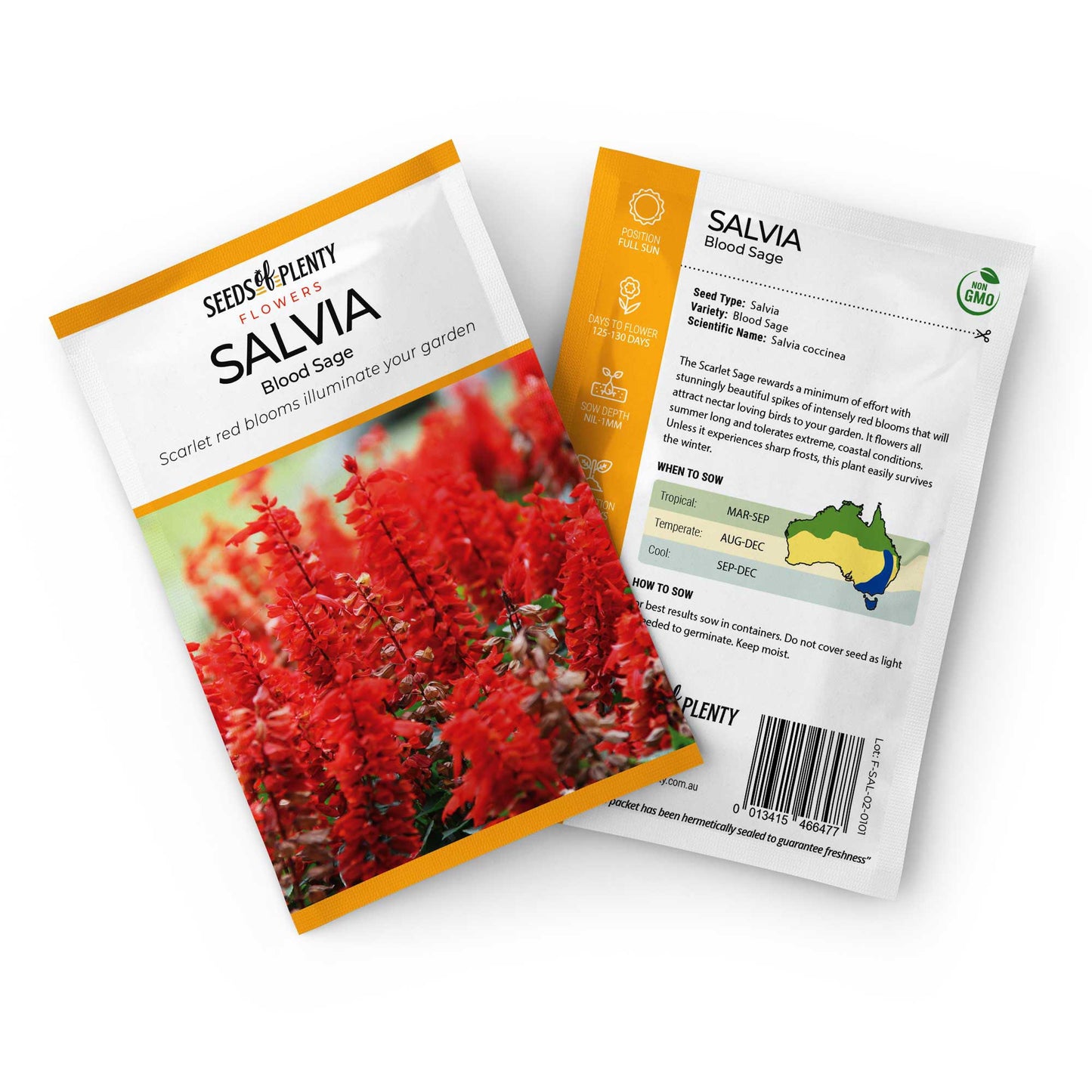 SALVIA - Blood Sage Seed Packet - Salvia coccinea