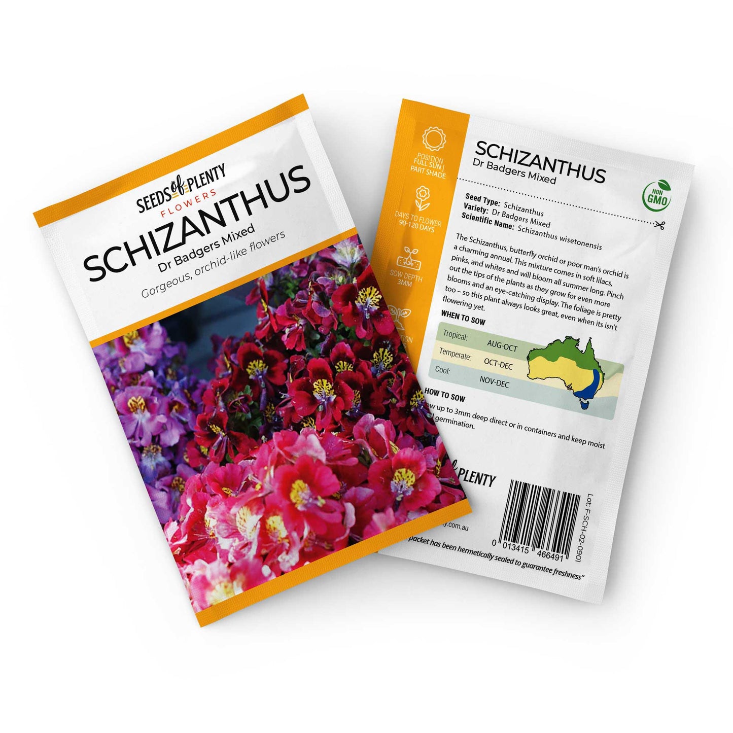 SCHIZANTHUS - Dr Badgers Mixed Seed Packet - Schizanthus wisetonensis