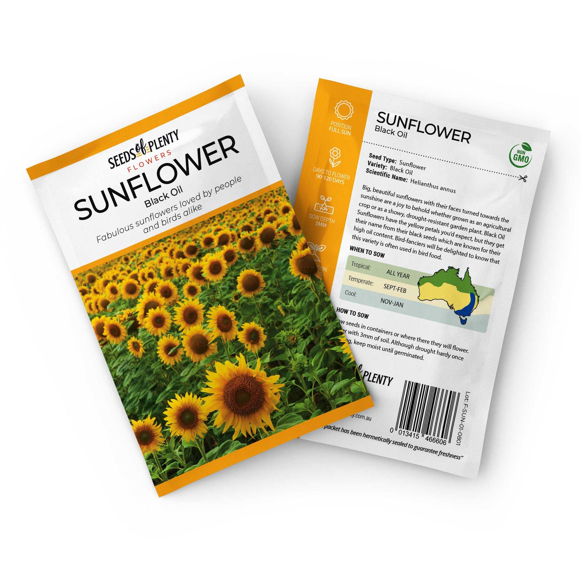 SUNFLOWER  - Black Oil Seed Packet - Helianthus annus
