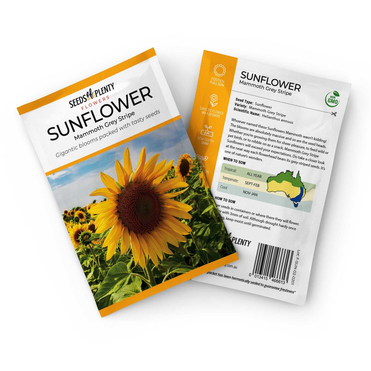 SUNFLOWER - Mammoth Grey Stripe Seed Packet - Helianthus annuus