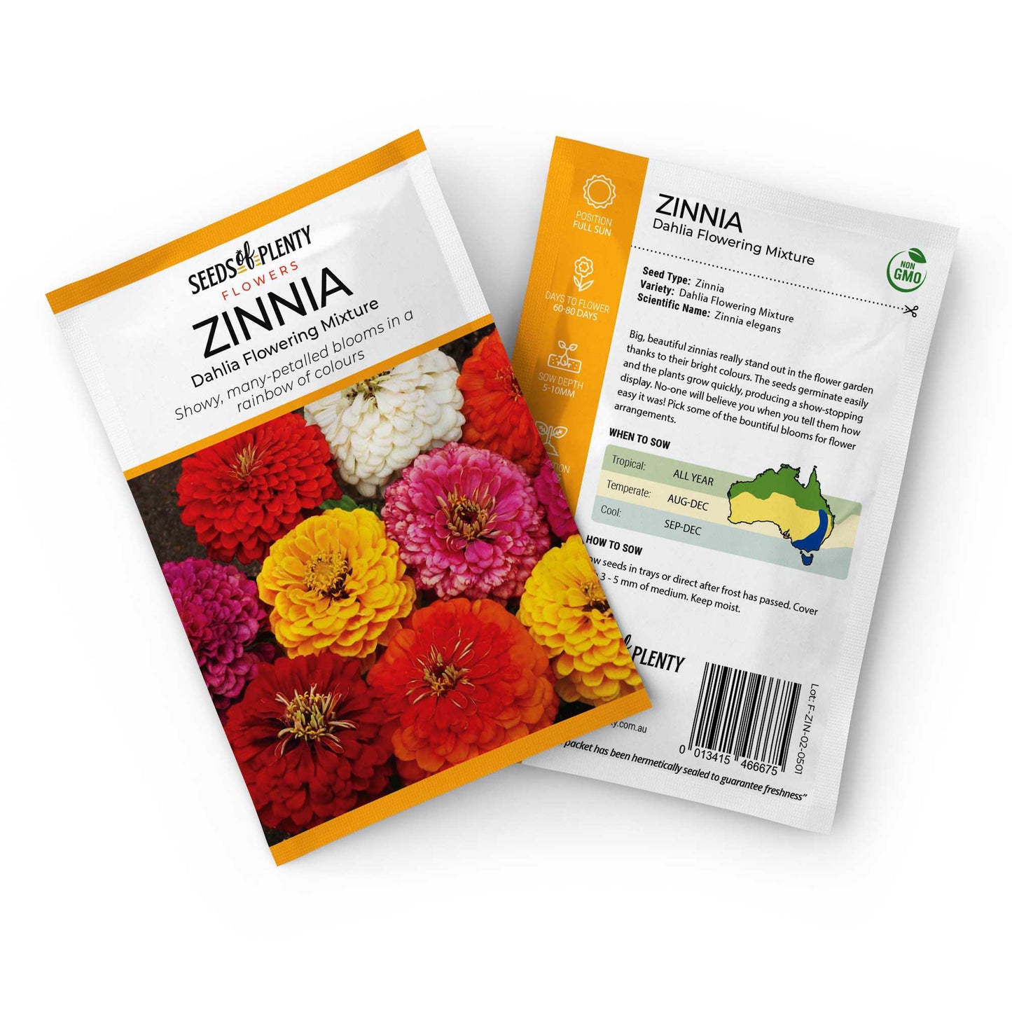 ZINNIA - Dahlia Flowering Mixture Seed Packet - Zinnia elegans