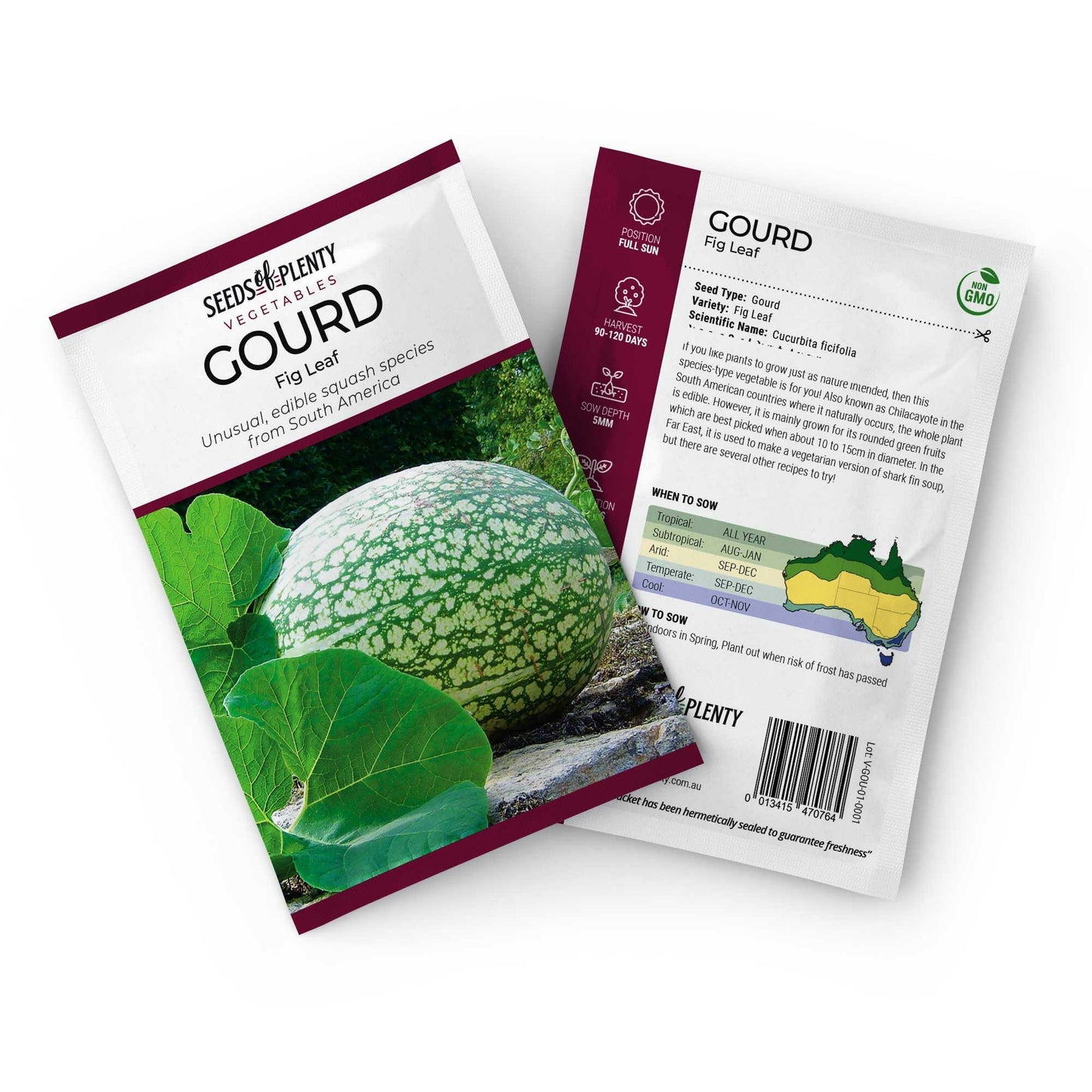 GOURD - Fig Leaf Seed Packet - Cucurbita ficifolia