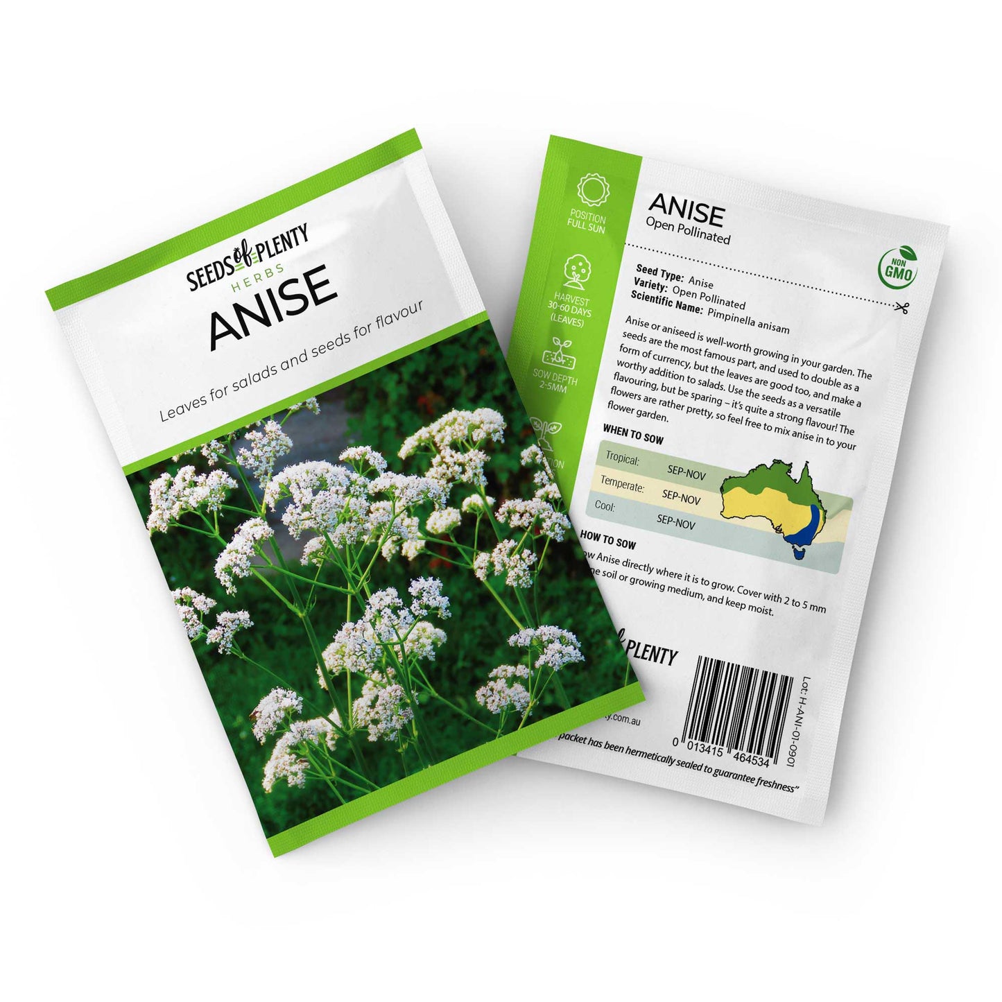ANISE - Seed Packet - Pimpinella anisam